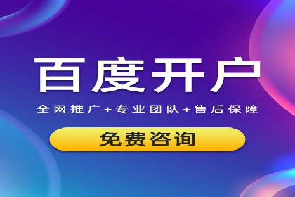 竞价排名中关键词出价策略的案例探讨